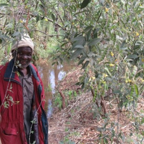 Zambia story: Pokalasiyo Sakala